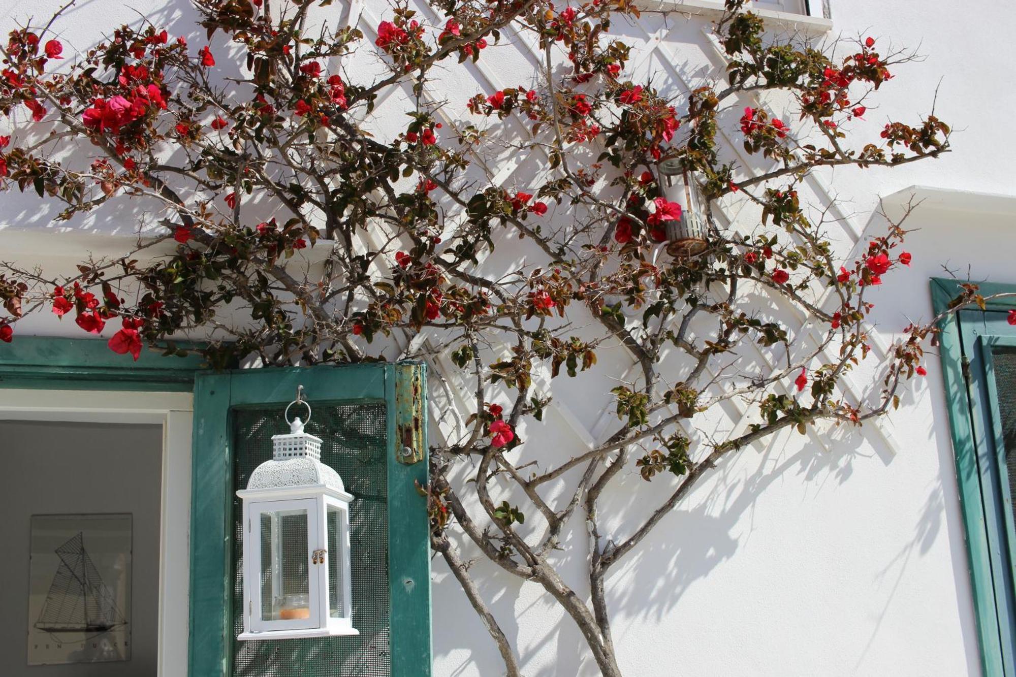 La Mansarda Sul Porto Apartment *